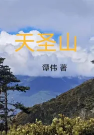 《天圣山》小说封面