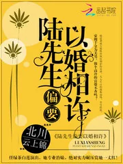 《陆先生偏要以婚相许》小说封面