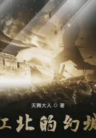 《江北的幻城》小说封面