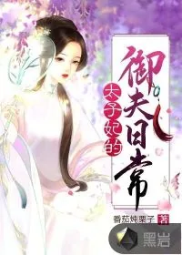 《太子妃的御夫日常》小说封面