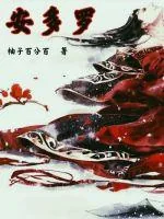 《安多罗》小说封面
