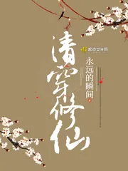 《清穿修仙》小说封面