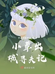 《小草出城寻夫记》小说封面