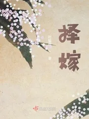 《择嫁》小说封面
