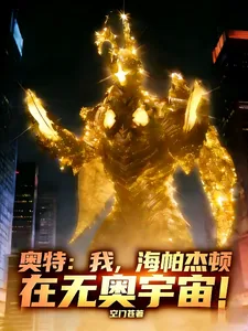 《奥特：我，海帕杰顿在无奥宇宙！》小说封面