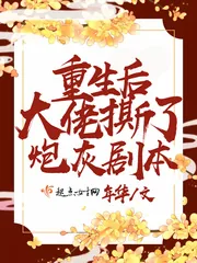 《重生后大佬撕了炮灰剧本》小说封面