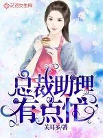 《总裁助理有点忙》小说封面