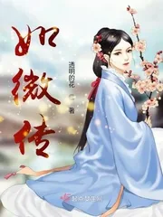 《如微传》小说封面