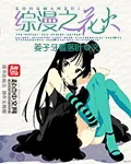 《综漫之花火》小说封面