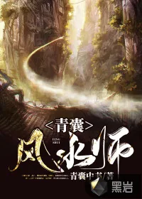 《青囊风水师》小说封面