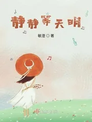《静静等天明》小说封面