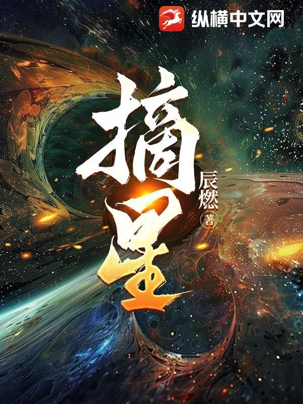 《摘星》小说封面