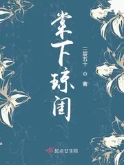 《棠下琼闺》小说封面