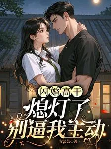 《闪婚高干：熄灯了，别逼我主动》小说封面