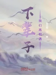《下一生我们再相遇》小说封面