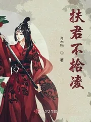 《扶君不拾凌》小说封面