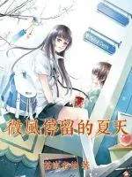 《微风停留的夏天》小说封面