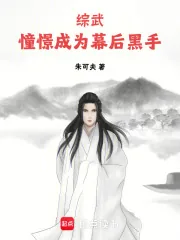 《综武：憧憬成为幕后黑手》小说封面
