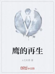《鹰的再生》小说封面