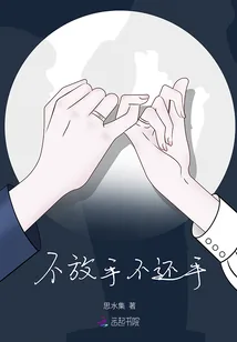 《不放手不还手》小说封面