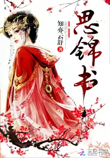 《思锦书》小说封面
