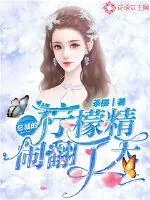 《总裁的柠檬精闹翻了天》小说封面