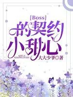 《Boss的契约小甜心》小说封面