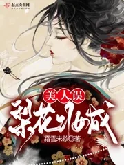 《梨花妆成美人误》小说封面