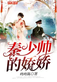 《秦少帅的娇娇》小说封面
