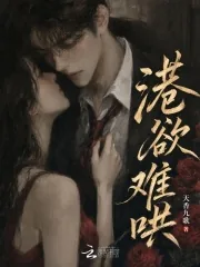 《港欲难哄》小说封面