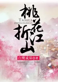 《桃花折江山》小说封面