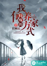 《我有特殊的养家方式》小说封面