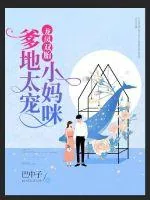 《龙凤双胎：爹地太宠小妈咪》小说封面