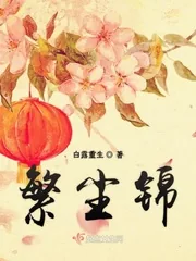 《繁尘锦》小说封面