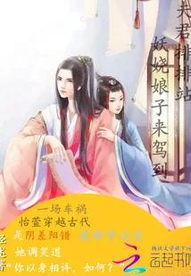 《夫君排排站：妖娆娘子来驾到》小说封面