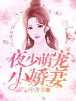 《夜少萌宠小娇妻》小说封面