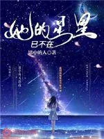 《她的星星已不在》小说封面