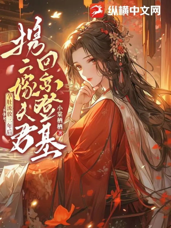 《孕肚流放三年后，携二嫁夫君回京登基！》小说封面