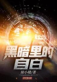 《黑暗里的自白》小说封面
