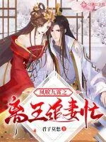 《凤唳九霄之离王追妻忙》小说封面