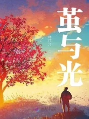 《茧与光》小说封面