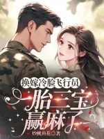 《换嫁冷脸飞行员，一胎三宝赢麻了》小说封面