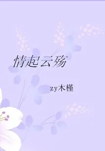 《情起云殇》小说封面