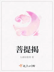 《菩提揭》小说封面