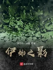 《伊始之影》小说封面