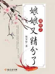 《清宫之娘娘又精分了》小说封面