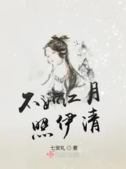 《不如江月照伊清》小说封面