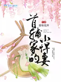 《首辅家的小悍妻》小说封面