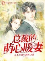 《总裁的萌心暖妻》小说封面