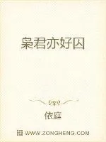 《枭君亦好囚》小说封面